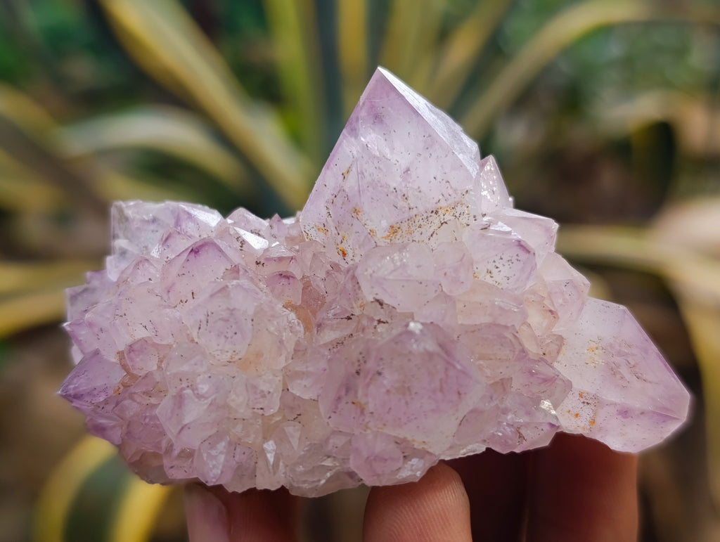 Natural Dark Purple Amethyst Spirit Quartz Clusters x 12 From Boekenhouthoek, South Africa - Toprock Gemstones and Minerals 