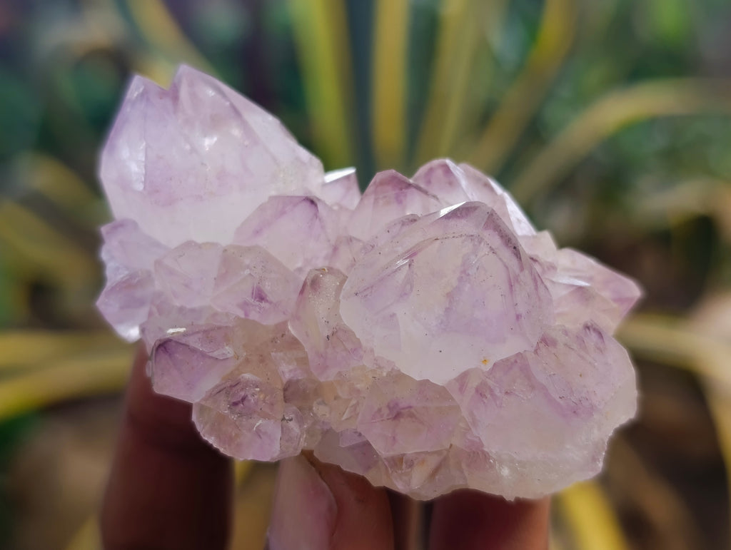 Natural Dark Purple Amethyst Spirit Quartz Clusters x 12 From Boekenhouthoek, South Africa - Toprock Gemstones and Minerals 