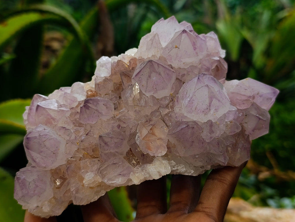 Natural Dark Purple Amethyst Spirit Quartz Clusters x 2 From Boekenhouthoek, South Africa - Toprock Gemstones and Minerals 