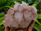 Natural Dark Purple Amethyst Spirit Quartz Clusters x 2 From Boekenhouthoek, South Africa - Toprock Gemstones and Minerals 