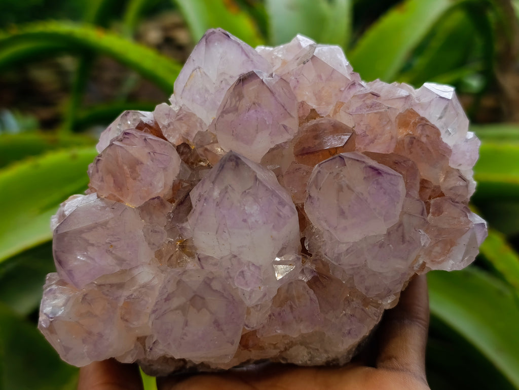 Natural Dark Purple Amethyst Spirit Quartz Clusters x 2 From Boekenhouthoek, South Africa - Toprock Gemstones and Minerals 