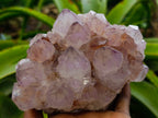 Natural Dark Purple Amethyst Spirit Quartz Clusters x 2 From Boekenhouthoek, South Africa - Toprock Gemstones and Minerals 