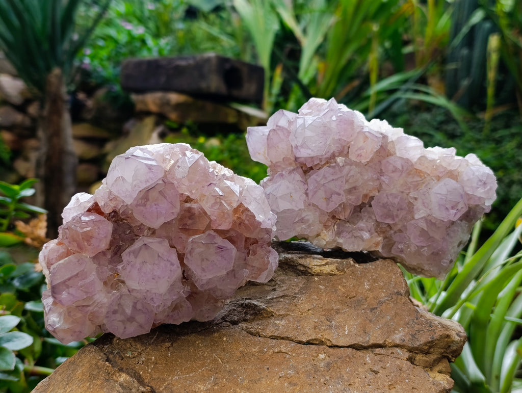 Natural Dark Purple Amethyst Spirit Quartz Clusters x 2 From Boekenhouthoek, South Africa - Toprock Gemstones and Minerals 