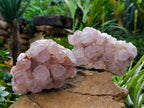 Natural Dark Purple Amethyst Spirit Quartz Clusters x 2 From Boekenhouthoek, South Africa - Toprock Gemstones and Minerals 