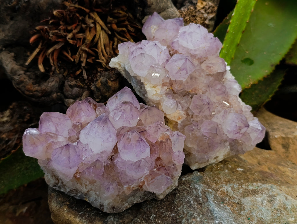 Natural Dark Purple Amethyst Spirit Quartz Clusters x 2 From Boekenhouthoek, South Africa - Toprock Gemstones and Minerals 
