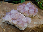 Natural Dark Purple Amethyst Spirit Quartz Clusters x 2 From Boekenhouthoek, South Africa - Toprock Gemstones and Minerals 