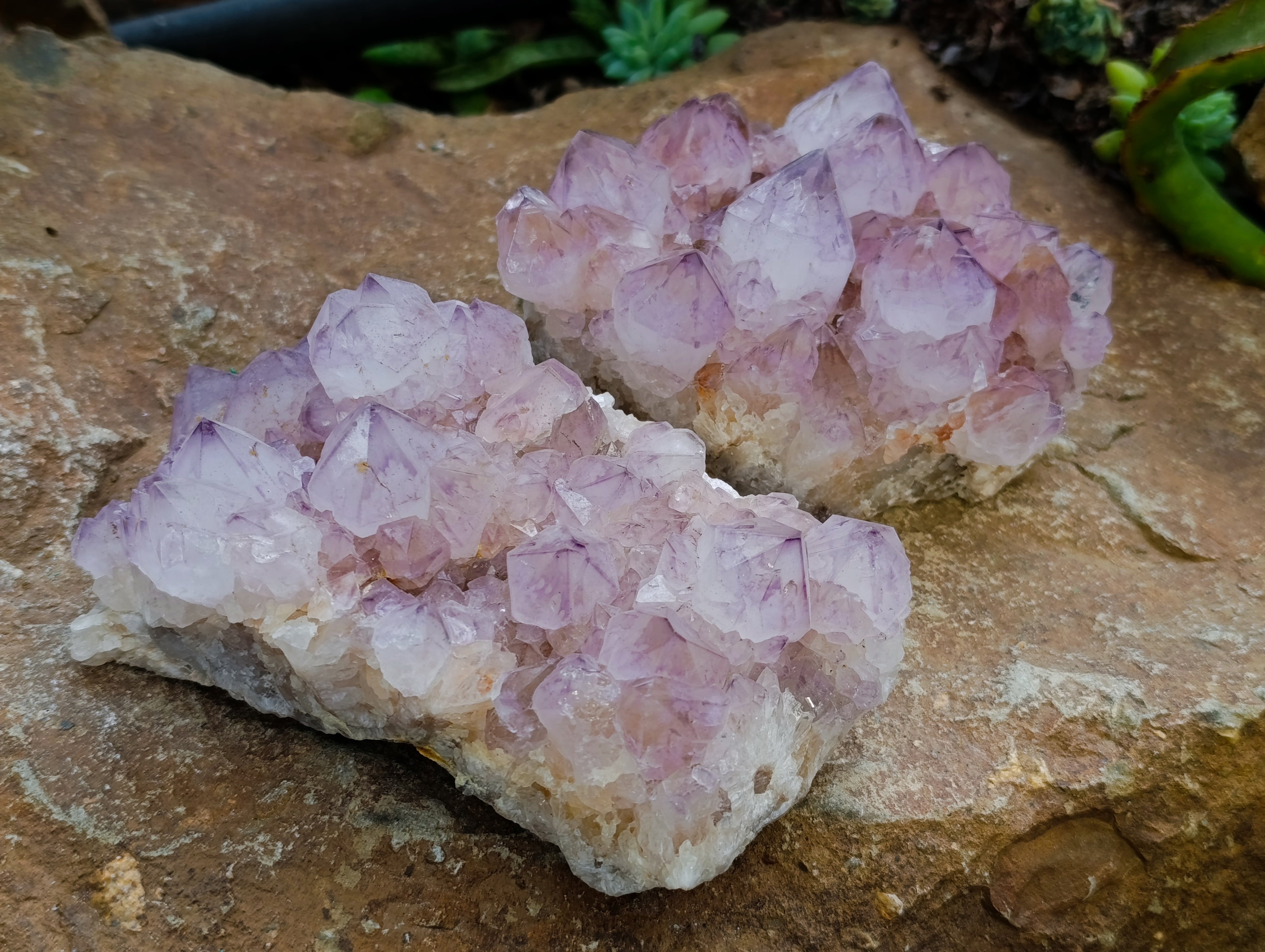 Natural Dark Purple Amethyst Spirit Quartz Clusters x 2 From Boekenhouthoek, South Africa - Toprock Gemstones and Minerals 