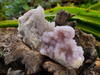 Natural Amethyst Spirit Quartz Clusters x 6 From Boekenhouthoek, South Africa - Toprock Gemstones and Minerals 