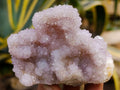 Natural Amethyst Spirit Quartz Clusters x 6 From Boekenhouthoek, South Africa - Toprock Gemstones and Minerals 