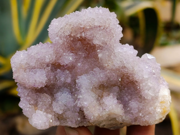 Natural Amethyst Spirit Quartz Clusters x 6 From Boekenhouthoek, South Africa
