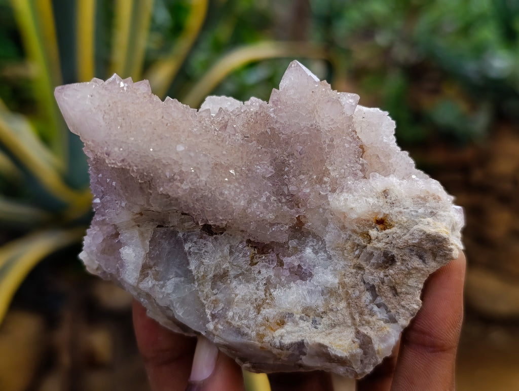 Natural Amethyst Spirit Quartz Clusters x 6 From Boekenhouthoek, South Africa - Toprock Gemstones and Minerals 