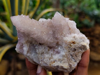 Natural Amethyst Spirit Quartz Clusters x 6 From Boekenhouthoek, South Africa
