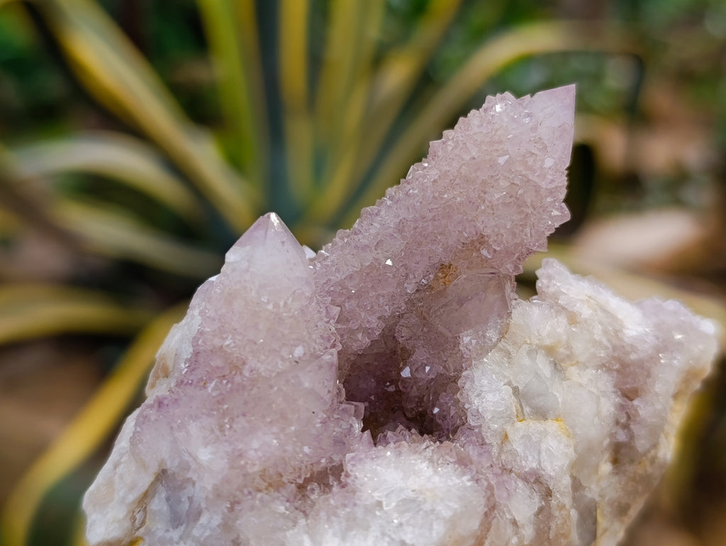 Natural Amethyst Spirit Quartz Clusters x 6 From Boekenhouthoek, South Africa - Toprock Gemstones and Minerals 