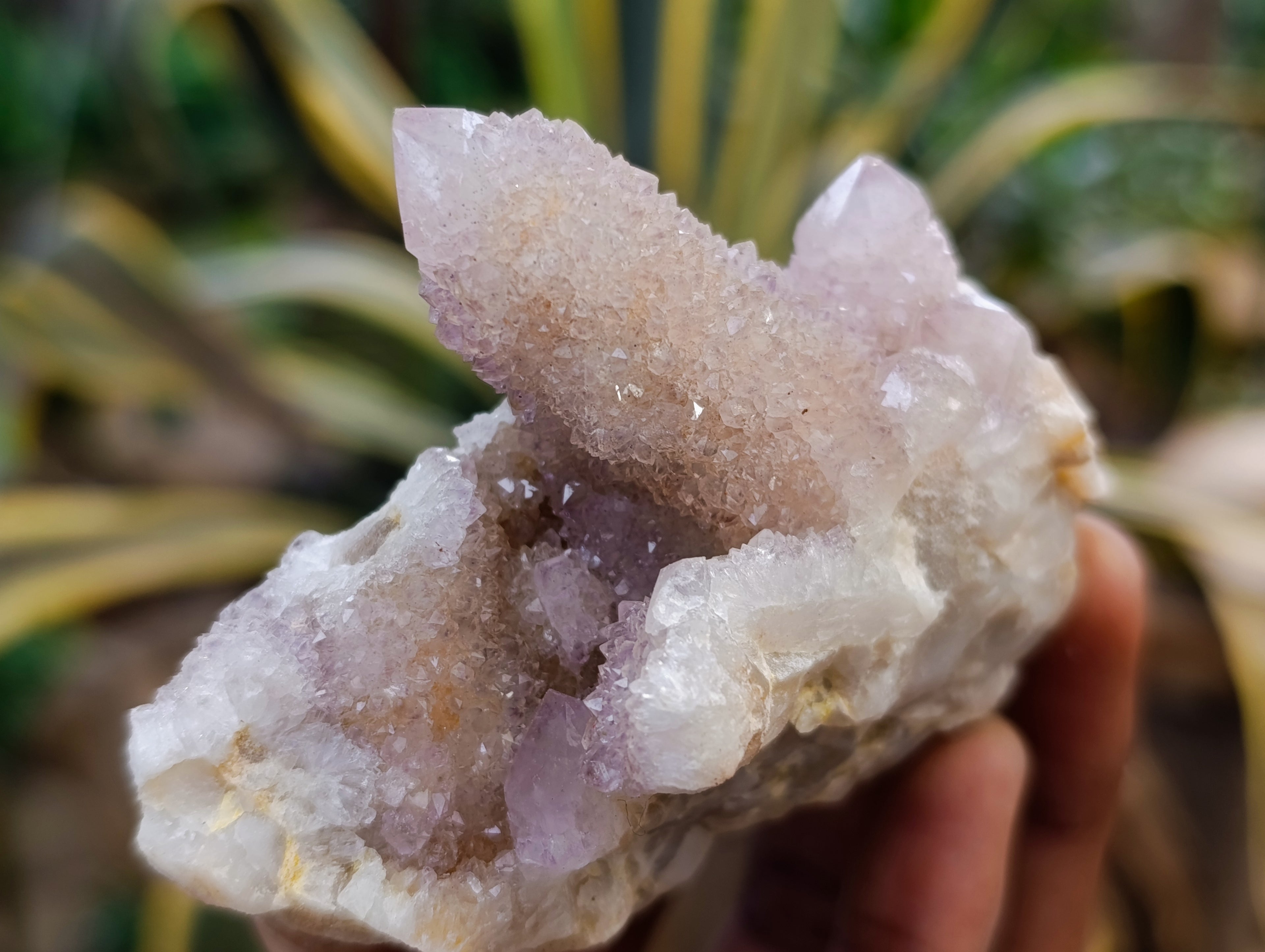 Natural Amethyst Spirit Quartz Clusters x 6 From Boekenhouthoek, South Africa - Toprock Gemstones and Minerals 