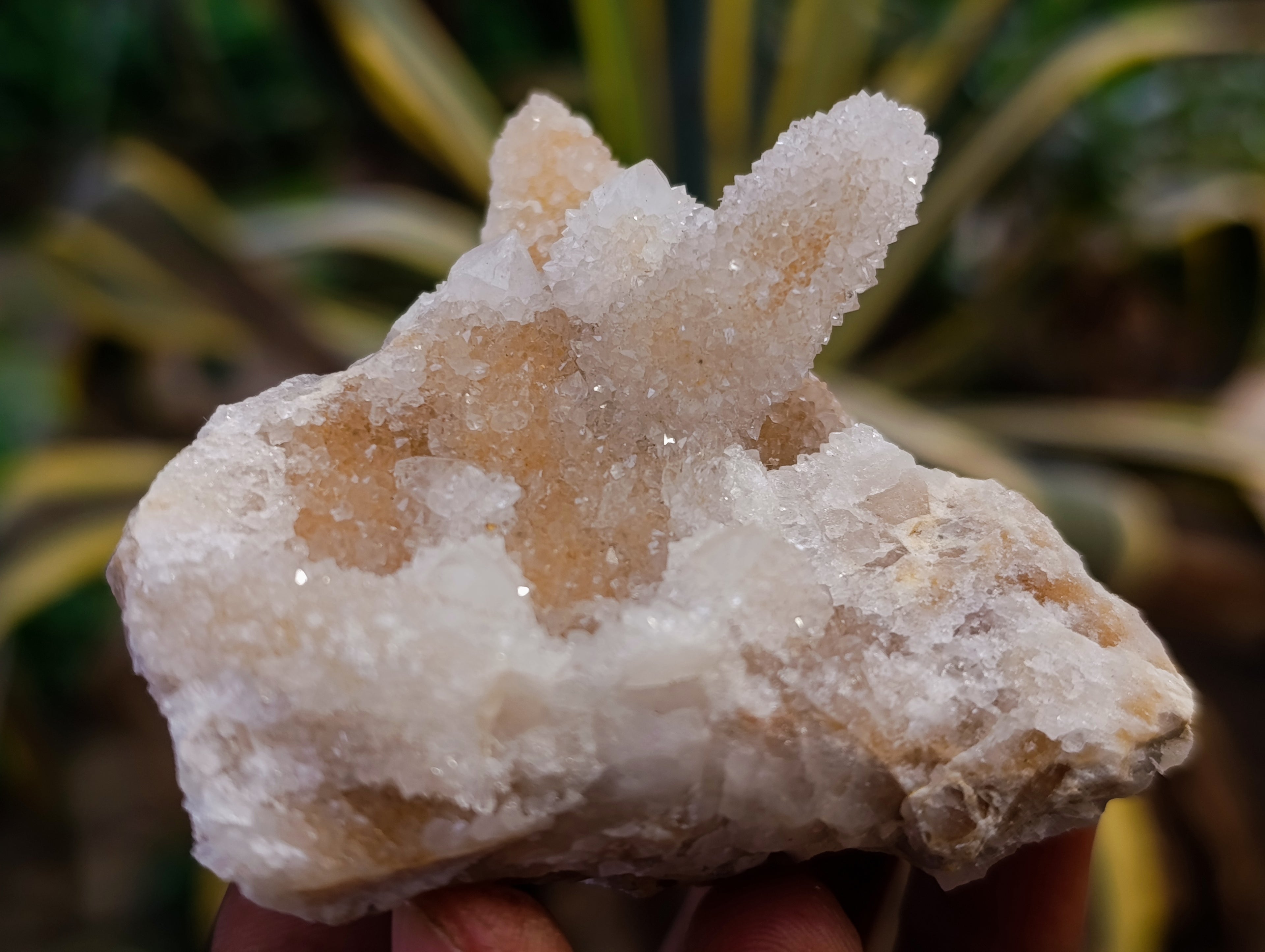 Natural Amethyst Spirit Quartz Clusters x 6 From Boekenhouthoek, South Africa - Toprock Gemstones and Minerals 