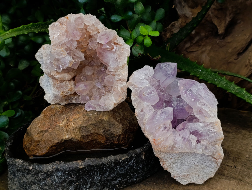 Natural Jacaranda Amethyst Quartz Geodes x 2 From Mumbwa, Zambia - Toprock Gemstones and Minerals 