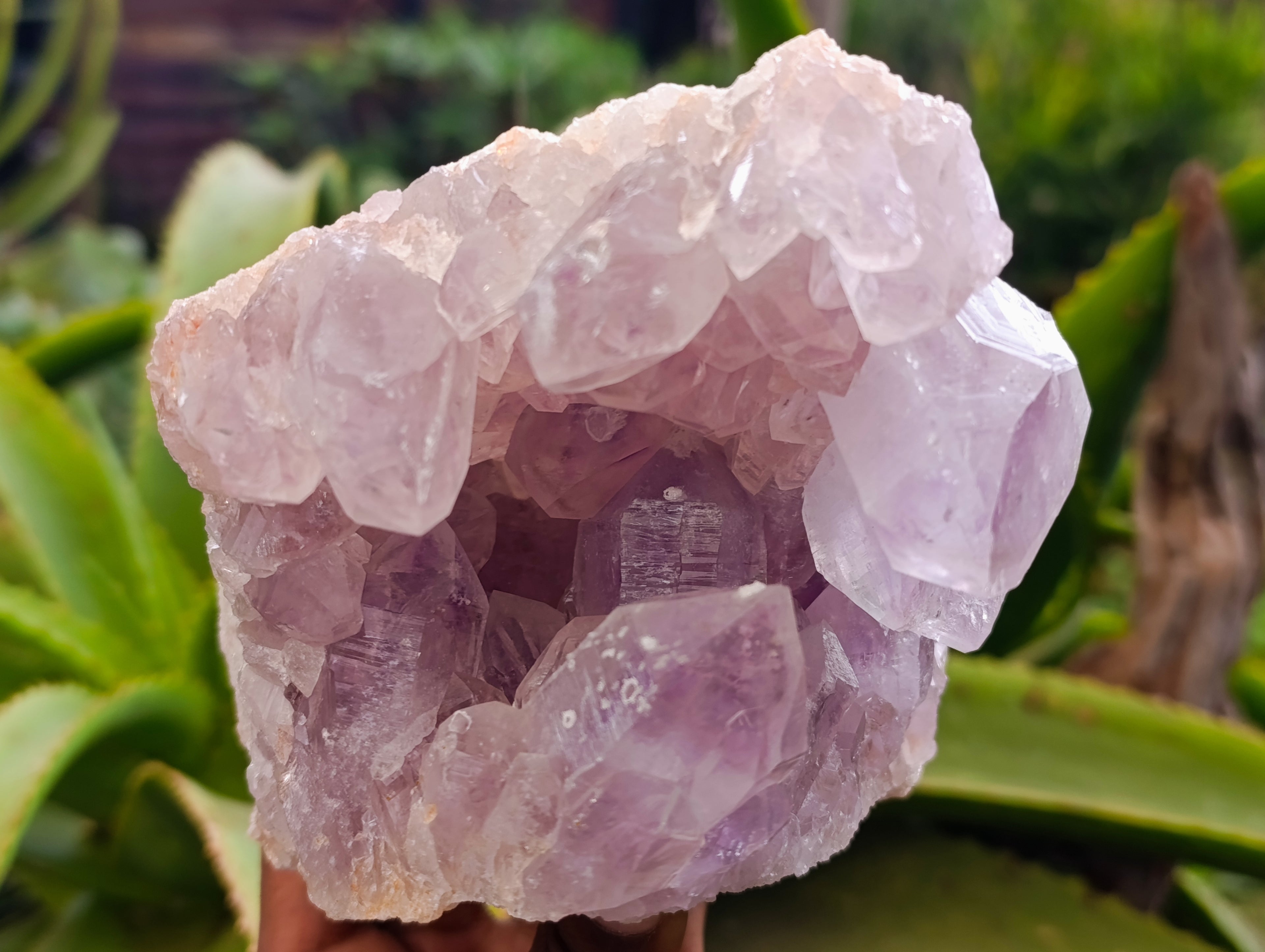 Natural Jacaranda Amethyst Quartz Geodes x 2 From Mumbwa, Zambia - Toprock Gemstones and Minerals 