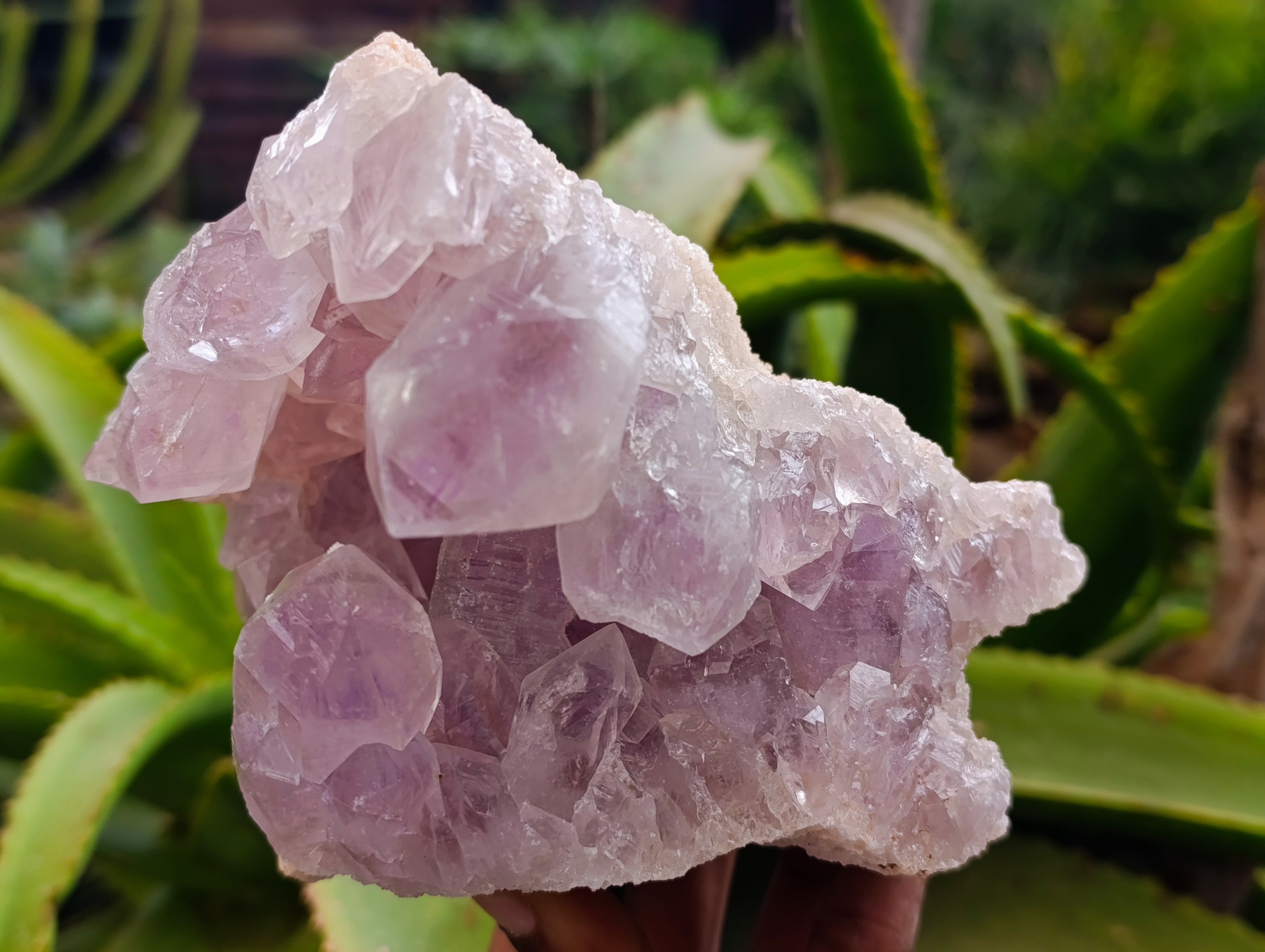 Natural Jacaranda Amethyst Quartz Geodes x 2 From Mumbwa, Zambia - Toprock Gemstones and Minerals 