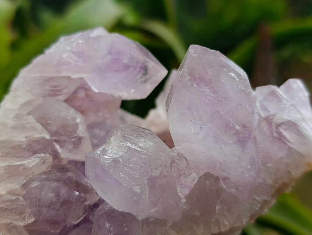 Natural Jacaranda Amethyst Quartz Geodes x 2 From Mumbwa, Zambia - Toprock Gemstones and Minerals 