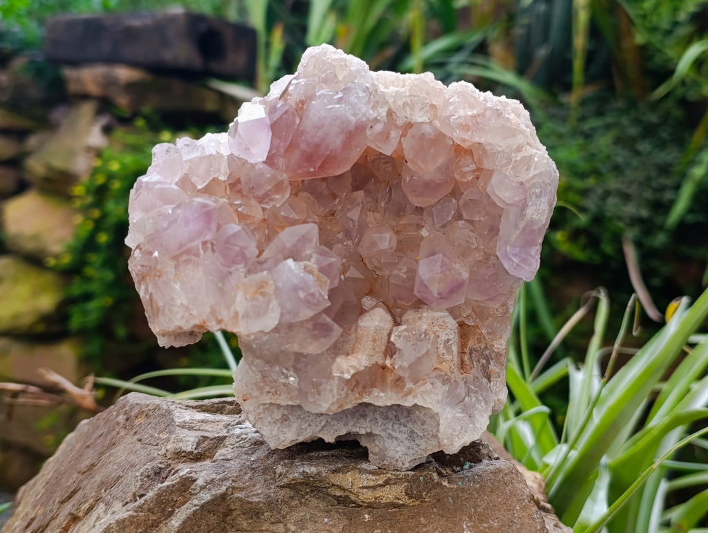 Natural Jacaranda Amethyst Quartz Geodes x 2 From Mumbwa, Zambia - Toprock Gemstones and Minerals 