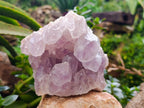 Natural Jacaranda Amethyst Quartz Geodes x 2 From Mumbwa, Zambia - Toprock Gemstones and Minerals 