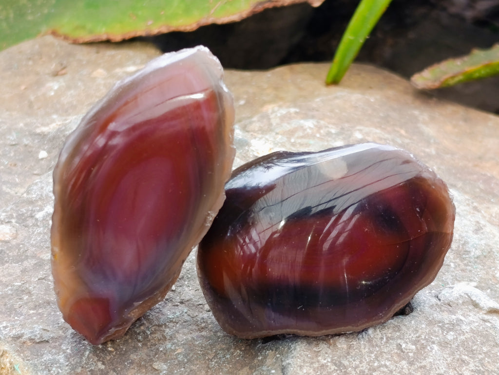 Polished On One Side Red Sashe River Agate Nodules x 24 From Zimbabwe - Toprock Gemstones and Minerals 