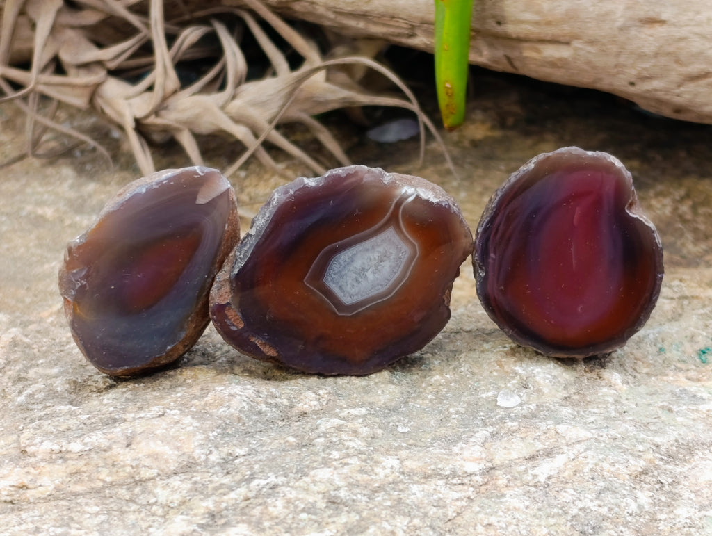 Polished On One Side Red Sashe River Agate Nodules x 24 From Zimbabwe - Toprock Gemstones and Minerals 