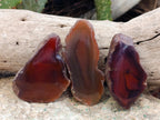 Polished On One Side Red Sashe River Agate Nodules x 24 From Zimbabwe - Toprock Gemstones and Minerals 