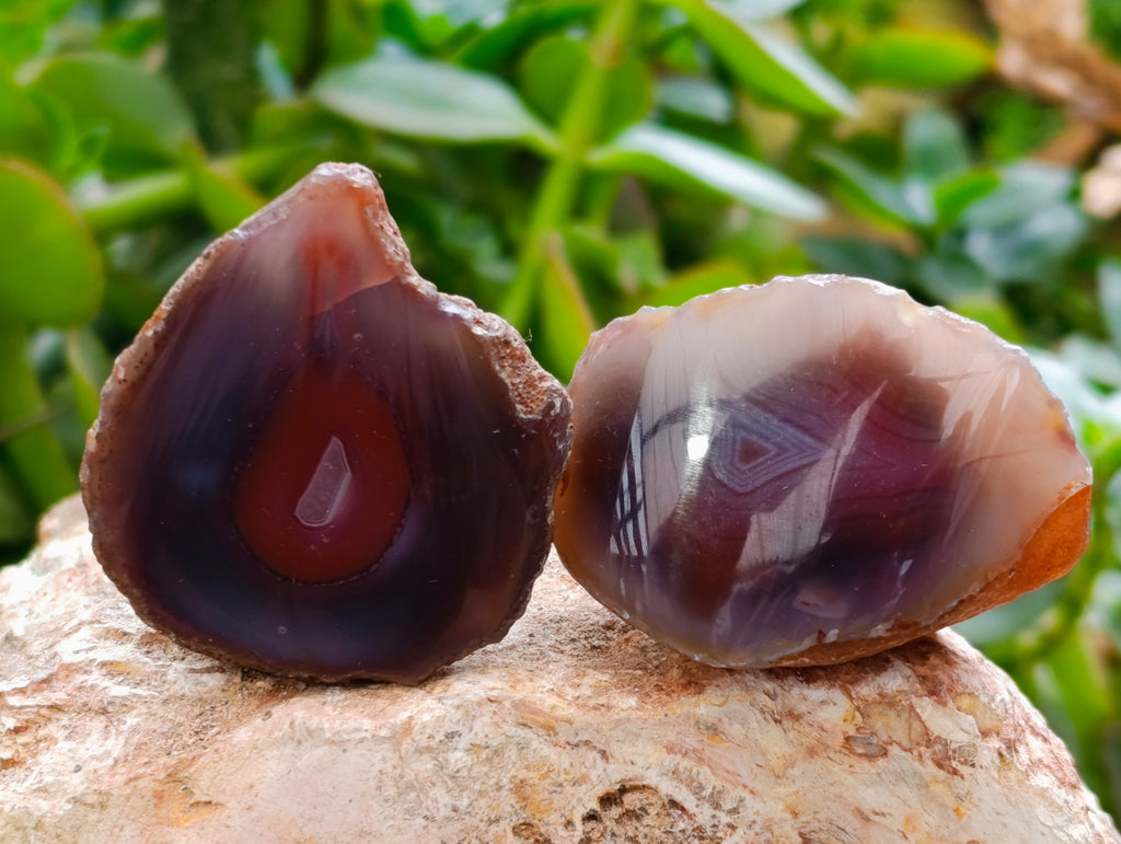 Polished On One Side Red Sashe River Agate Nodules x 24 From Zimbabwe - Toprock Gemstones and Minerals 