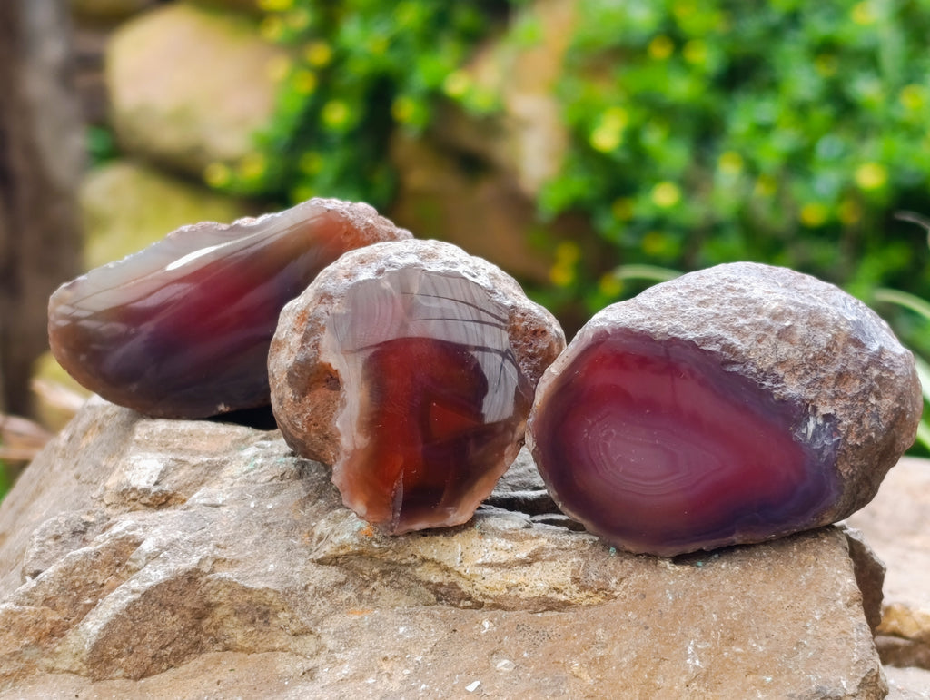 Polished On One Side Red Sashe River Agate Nodules x 24 From Zimbabwe - Toprock Gemstones and Minerals 