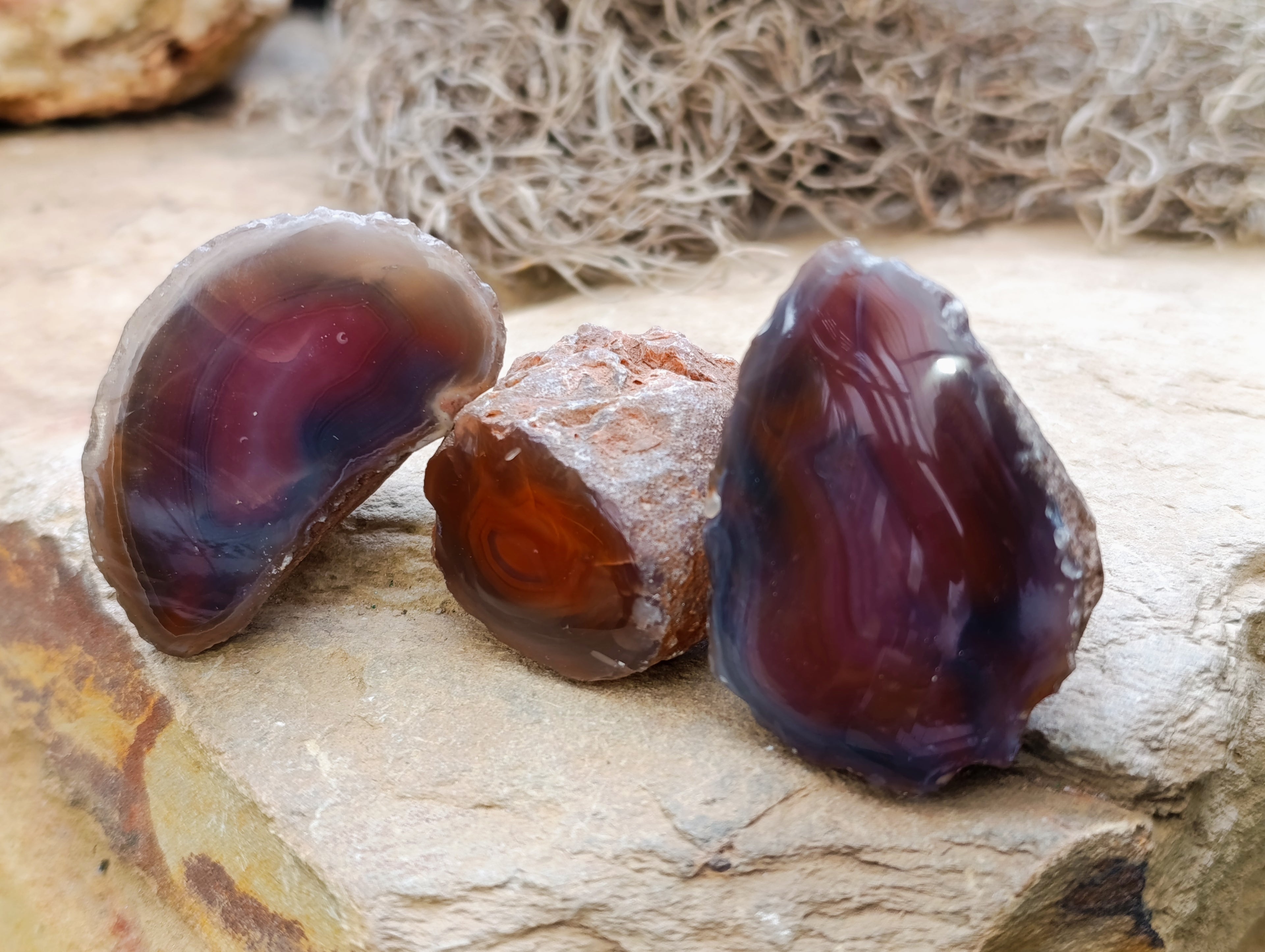 Polished On One Side Red Sashe River Agate Nodules x 24 From Zimbabwe - Toprock Gemstones and Minerals 