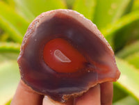 Polished On One Side Red Sashe River Agate Nodules x 24 From Zimbabwe - Toprock Gemstones and Minerals 