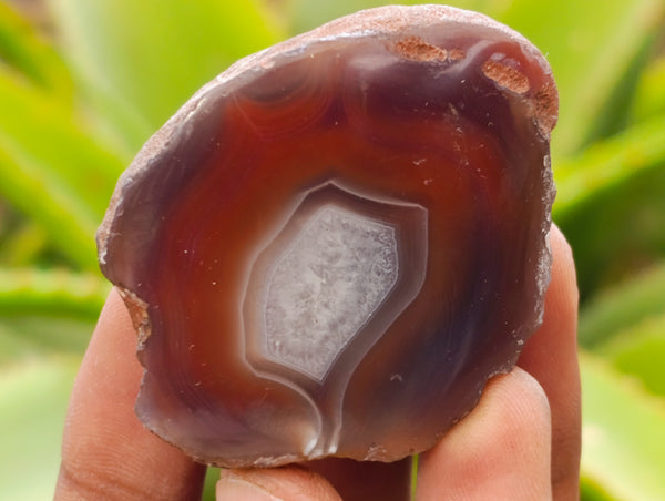 Polished On One Side Red Sashe River Agate Nodules x 24 From Zimbabwe - Toprock Gemstones and Minerals 