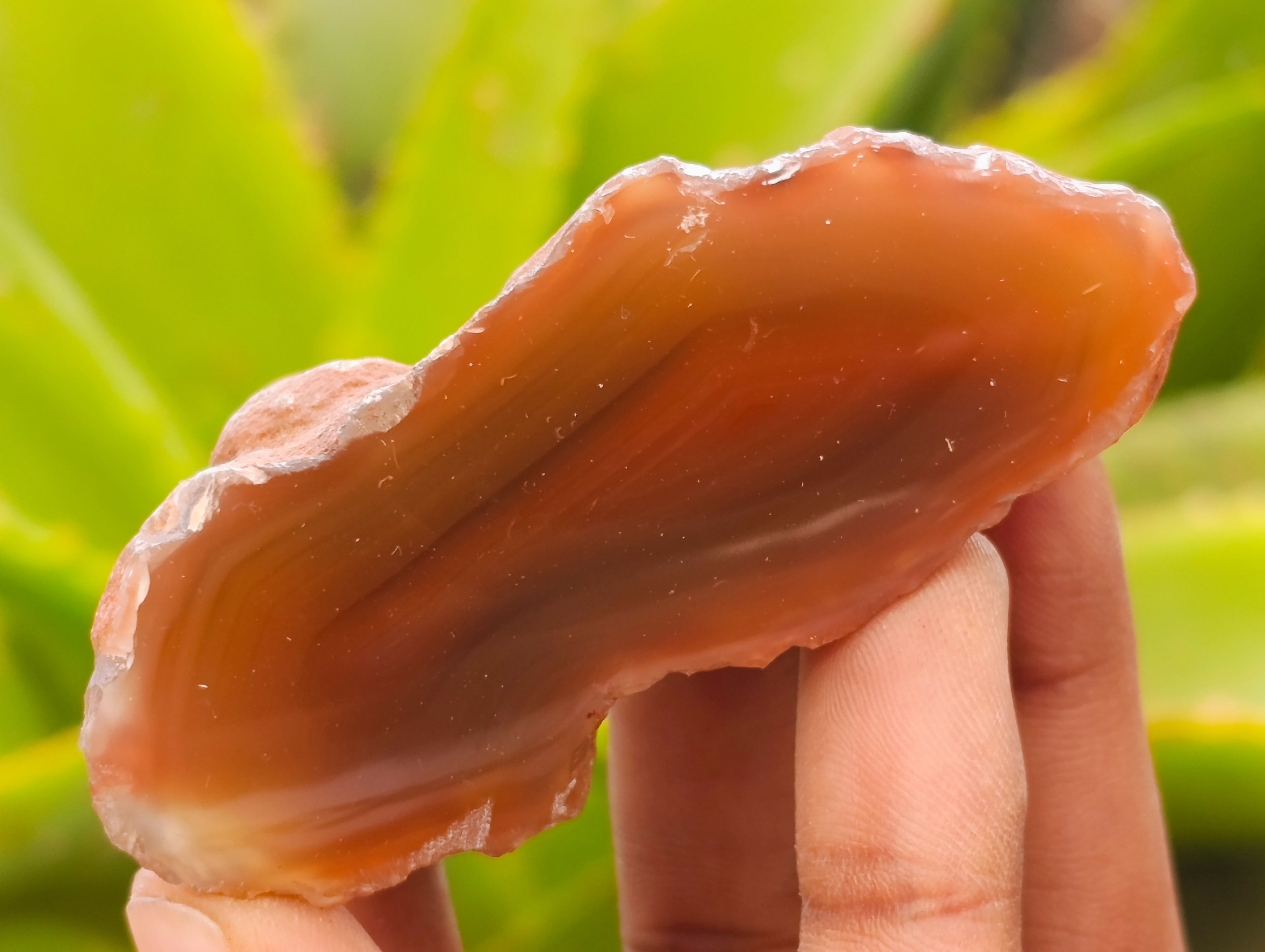 Polished On One Side Red Sashe River Agate Nodules x 24 From Zimbabwe - Toprock Gemstones and Minerals 