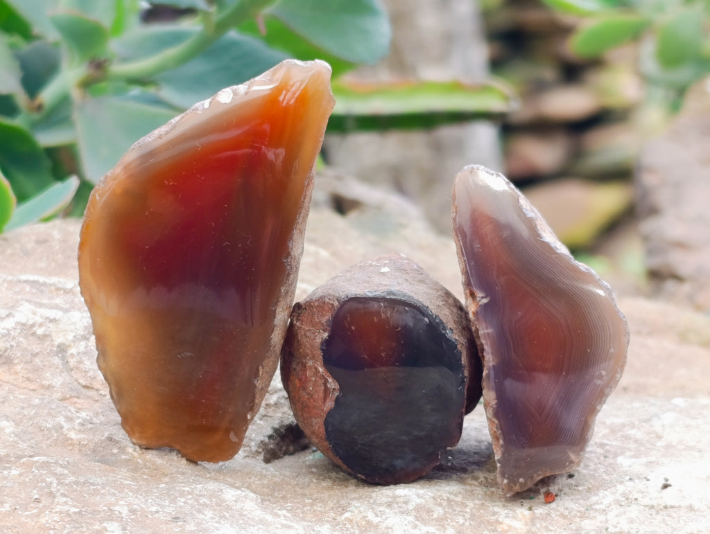 Polished On One Side Red Sashe River Agate Nodules x 24 From Zimbabwe - Toprock Gemstones and Minerals 