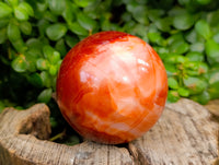 Polished Carnelian Agate Spheres x 2 From Madagascar