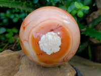 Polished Carnelian Agate Spheres x 2 From Madagascar