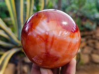 Polished Carnelian Agate Spheres x 2 From Madagascar