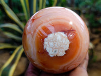 Polished Carnelian Agate Spheres x 2 From Madagascar