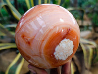 Polished Carnelian Agate Spheres x 2 From Madagascar