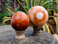 Polished Carnelian Agate Spheres x 2 From Madagascar