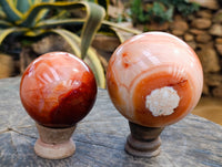 Polished Carnelian Agate Spheres x 2 From Madagascar