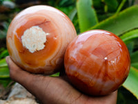 Polished Carnelian Agate Spheres x 2 From Madagascar