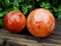 Polished Carnelian Agate Spheres x 2 From Madagascar