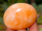 Polished Orange Twist Calcite Palm Stones x 24 From Maevantanana, Madagascar - Toprock Gemstones and Minerals 