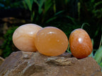 Polished Orange Twist Calcite Palm Stones x 24 From Maevantanana, Madagascar - Toprock Gemstones and Minerals 