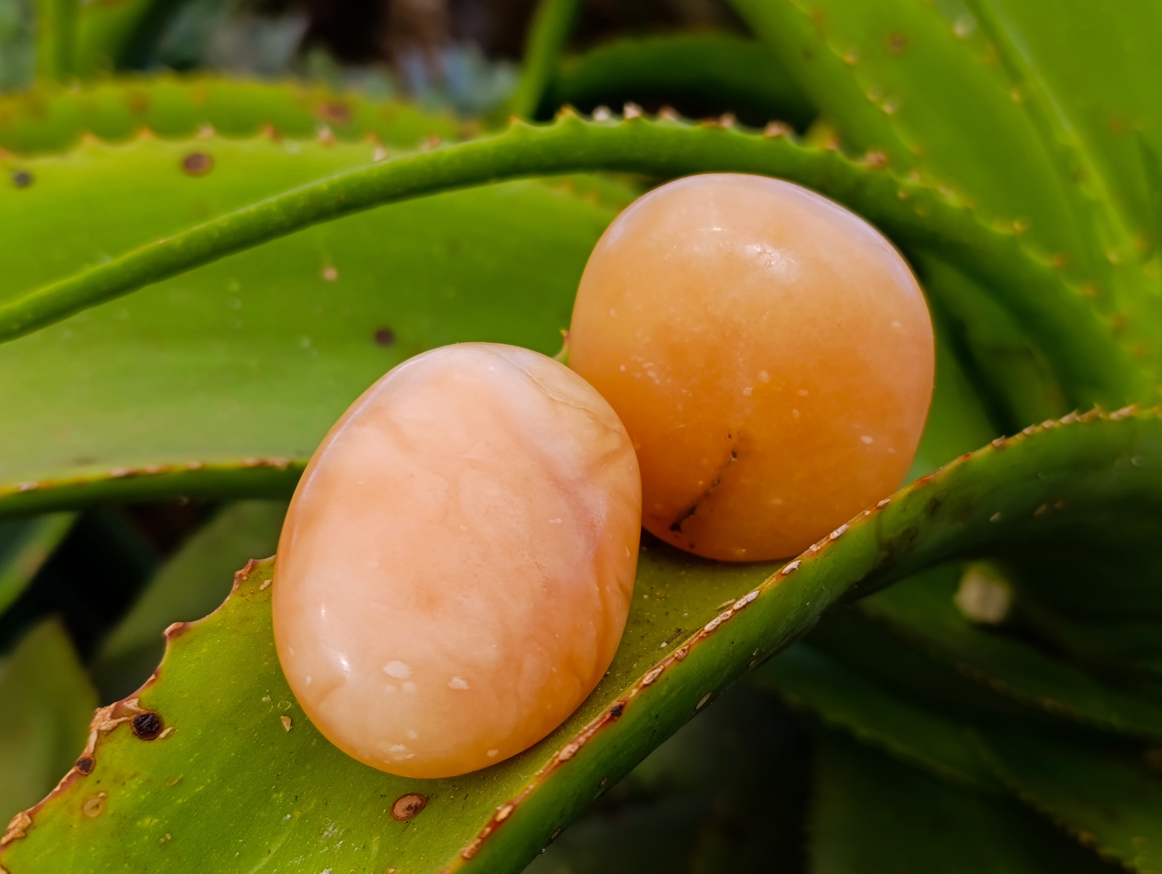 Polished Orange Twist Calcite Palm Stones x 24 From Maevantanana, Madagascar - Toprock Gemstones and Minerals 