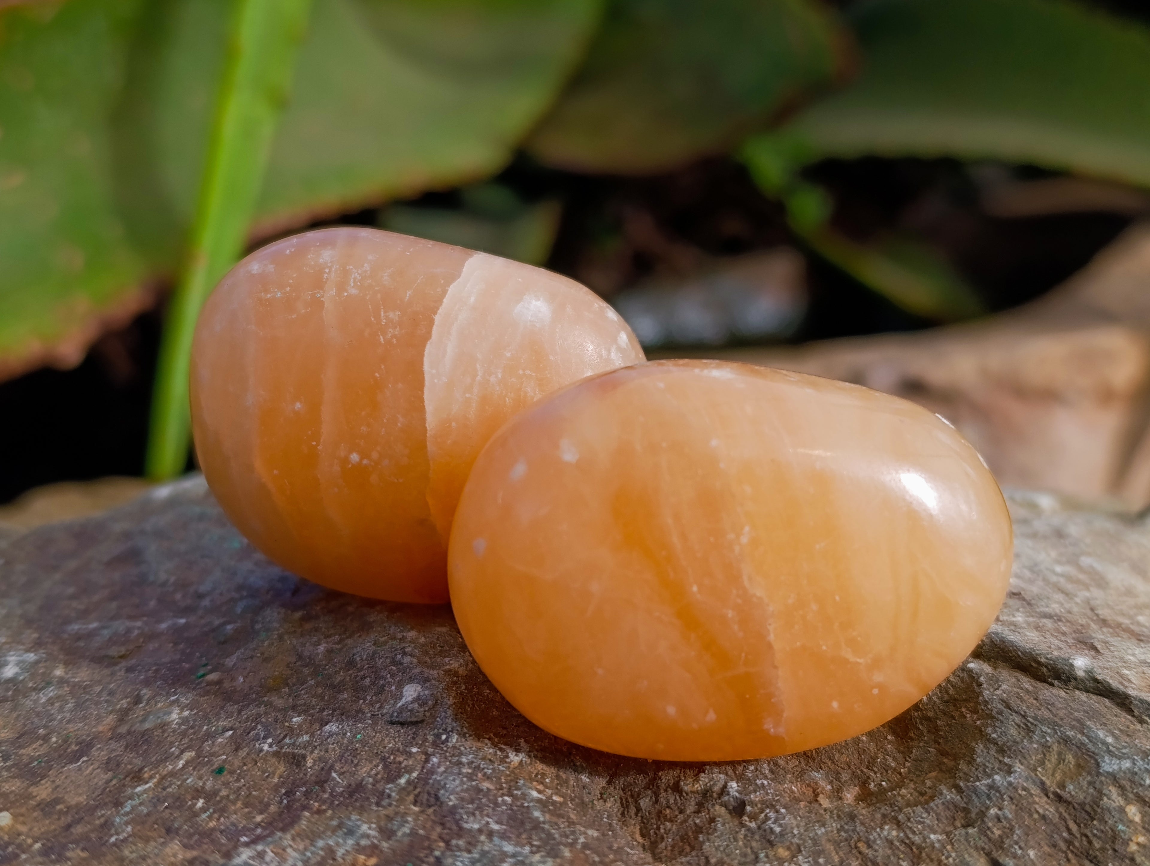 Polished Orange Twist Calcite Palm Stones x 24 From Maevantanana, Madagascar - Toprock Gemstones and Minerals 