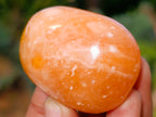 Polished Orange Twist Calcite Palm Stones x 24 From Maevantanana, Madagascar - Toprock Gemstones and Minerals 