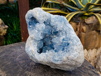Natural Large Celestite Geode Specimen x 1 From Sakoany, Madagascar